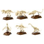 Dinosaur Skeleton Are Building Block Set