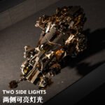 Mechanical Lion Building Block Set