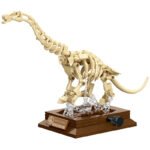 Dinosaur Skeleton Building Block Set